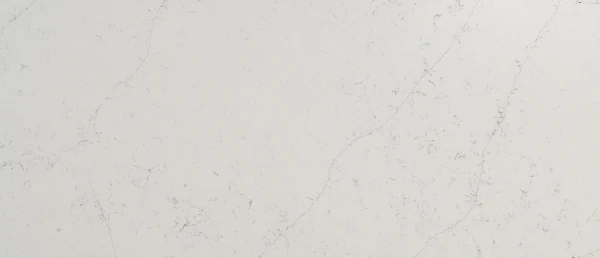 MSI Calacatta Botanica quartz color and veining close-up